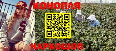 соль ск Кудымкар