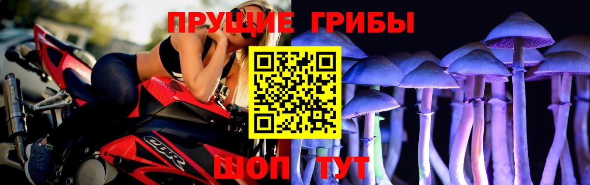Вичуга  Галлюциногенные грибы Magic Shrooms  Вход с VPN 